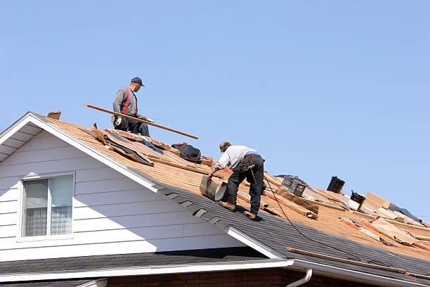 Best Solar Panel Roofing Installation  in Vinton, TX